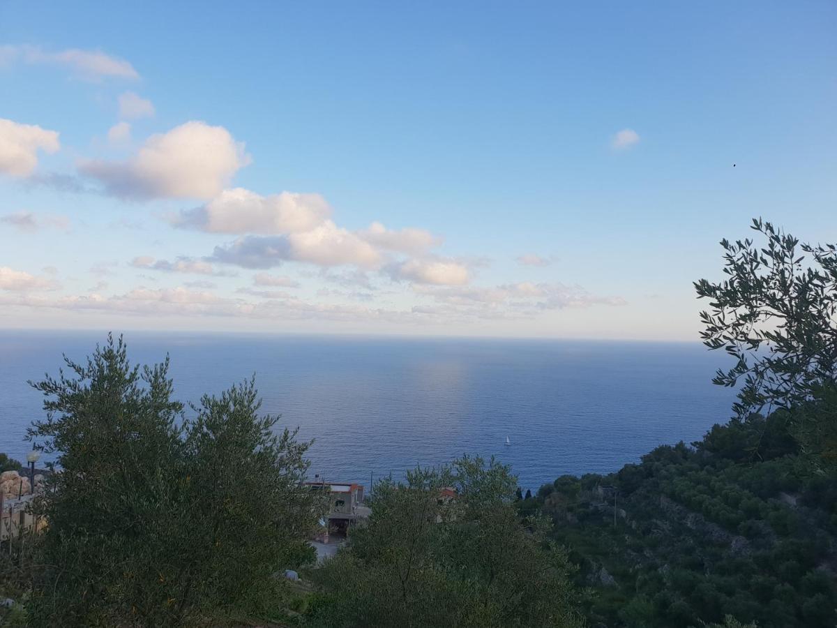 Casa Vacanze L'Agrifoglio Panzió Magliolo Kültér fotó
